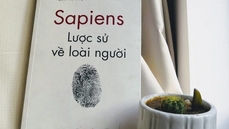 Review sách lược sử loài người và hành trình phát triển nhân loại