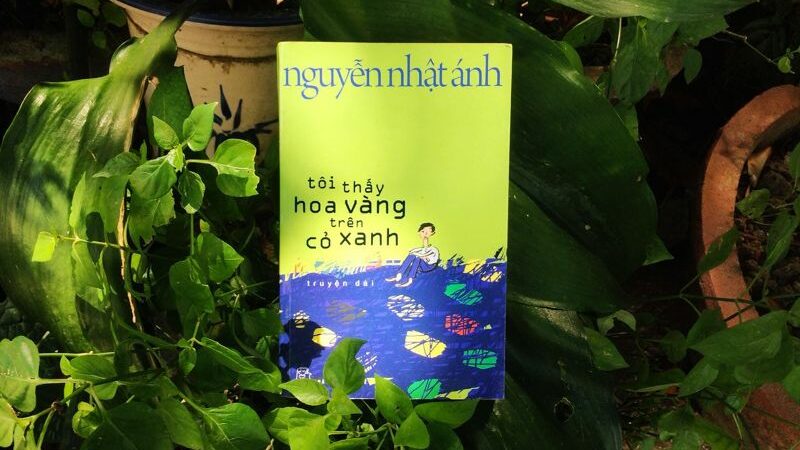 Review sách tôi thấy hoa vàng trên cỏ xanh và những điều thú vị cần biết