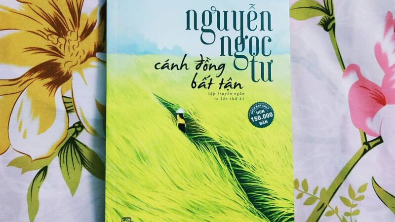 Review sách cánh đồng bất tận và những giá trị nhân văn sâu sắc