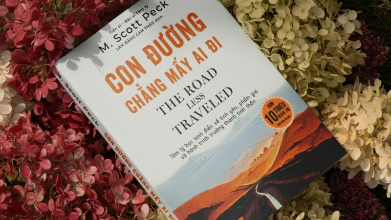 Review sách con đường chẳng mấy ai đi và những bài học ý nghĩa