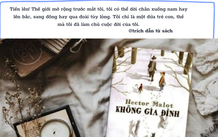 Review sách không gia đình và những bài học nhân văn sâu sắc