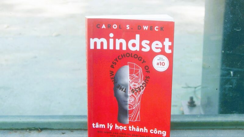 Review sách mindset và bí quyết phát triển tư duy thành công