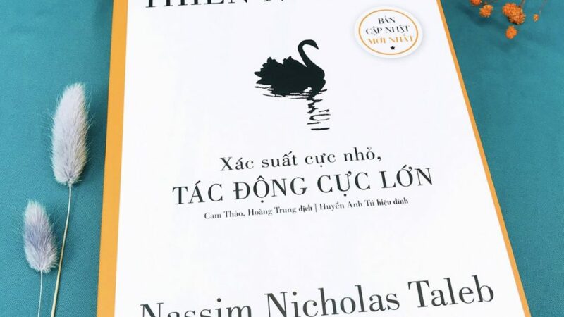 Review sách thiên nga đen và những bài học quý giá cho cuộc sống